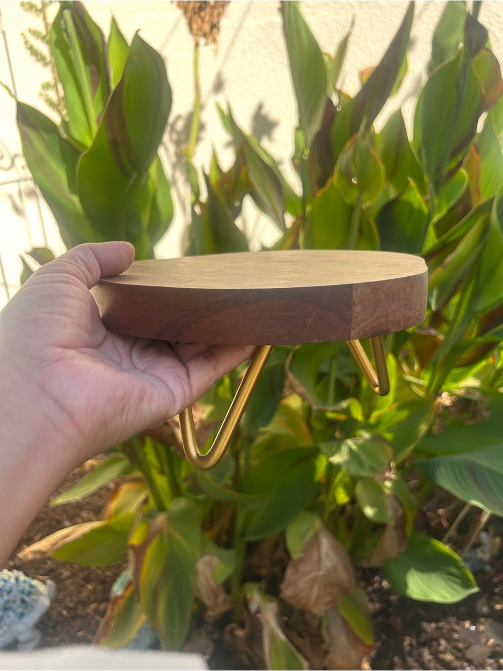 Gold Hairpin Leg Wood Cake Stand